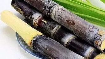 热点爆料甘蔗怎么做视频,视频教程带你轻松学会