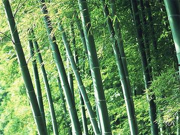 竹林小区新闻爆料最新,业主抗议物业，真相背后引关注  第3张